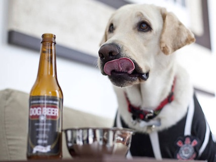 0-dog-beer-cerveza-perros-brasil.jpg
